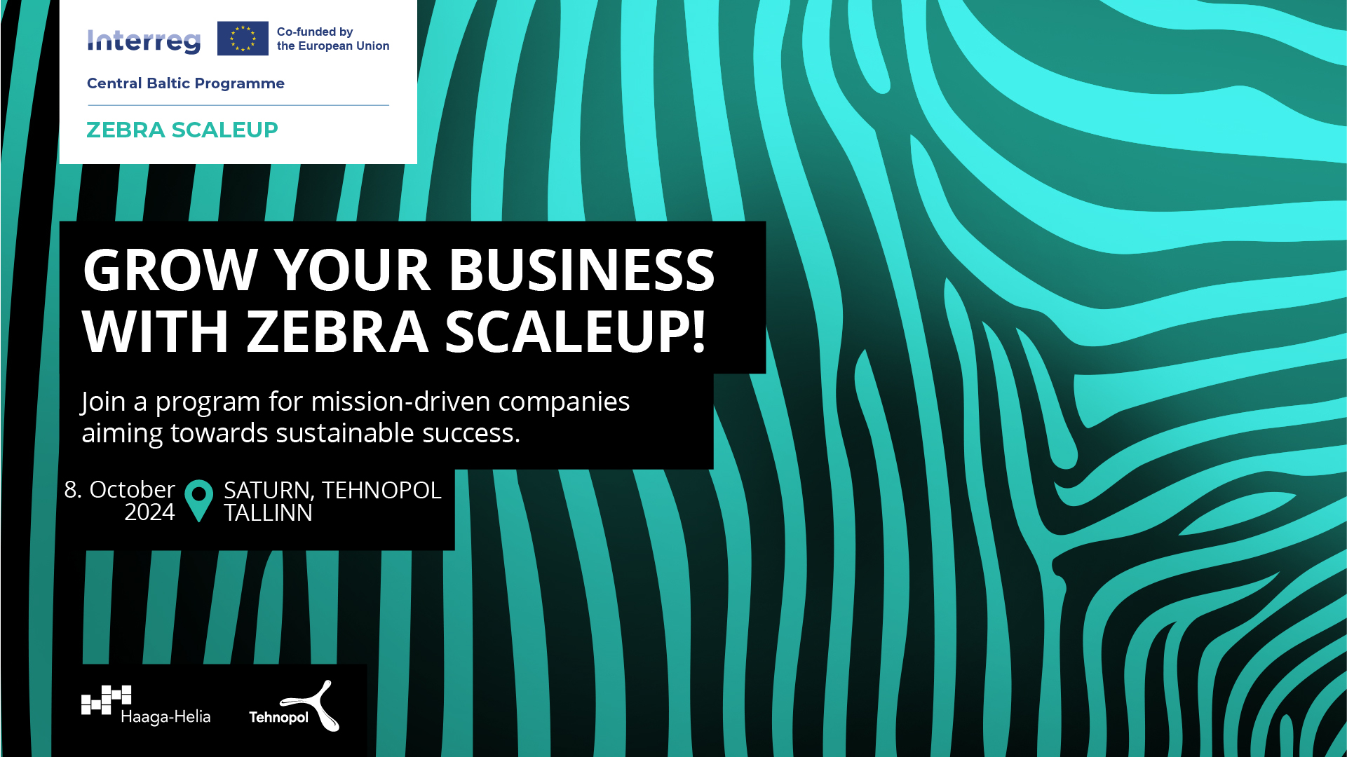 Decorative background with the logos of Interreg Central Baltic Programme, project Zebra Scaleup, Haaga-Helia and Tehnopol. Text: Grow your business with Zebra ScaleUp! Join a program for mission-driven companies aiming towards sustainable success. 8.10.2024. Saturn, Tehnopol, Tallinn.